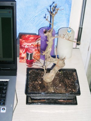 DSCN1758.JPG