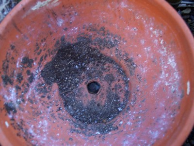 Bild 022.jpg