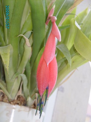PICT0480.JPG