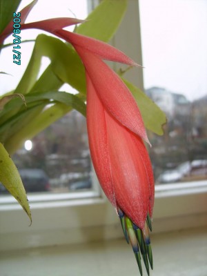 PICT0476.JPG