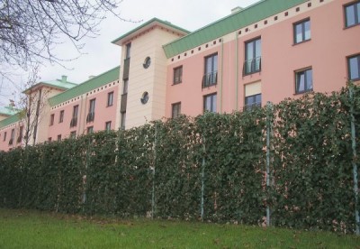 1678_2.jpg