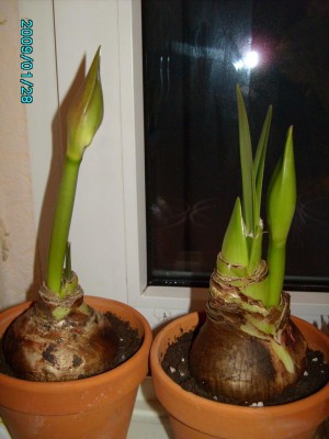 PICT0470.JPG