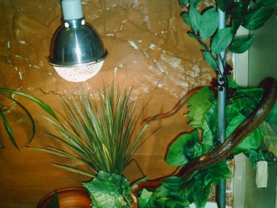 JMMU0063.JPG