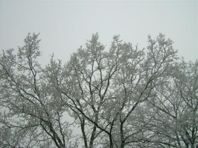 allgemein 034 (Small).jpg