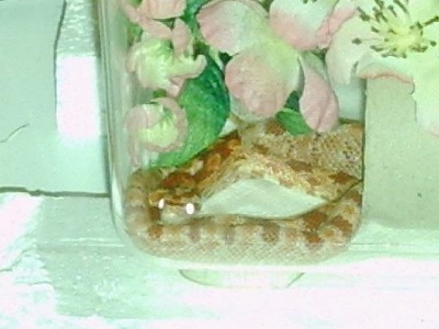 JMMU0050.JPG