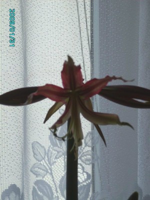 PICT0491.JPG