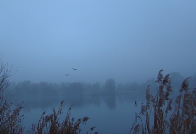 nebel über'm max-eyth-see.jpg