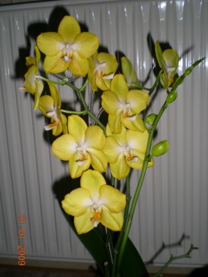 DSCN26330001.JPG