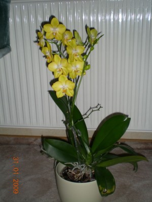 DSCN26320001.JPG