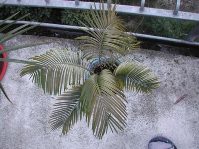 DSCN0477.jpg
