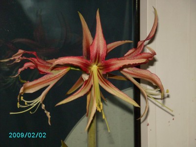 PICT0507.JPG