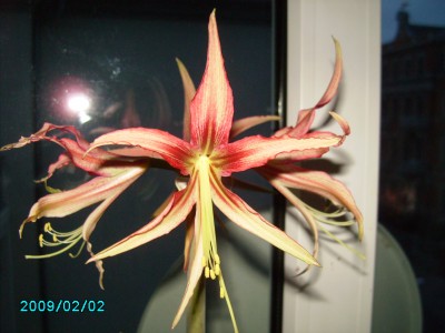 PICT0510.JPG