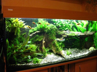 Größenänderung IMG_0284.JPG