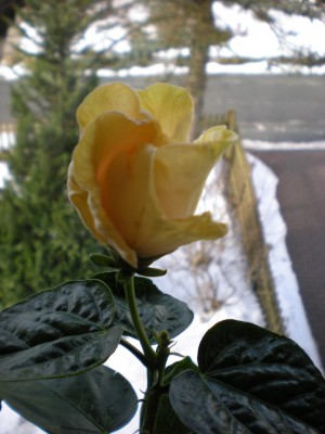 DSCN0131.JPG