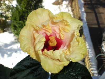 DSCN0135.JPG