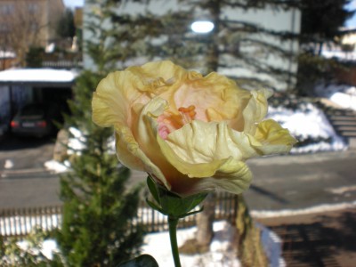 DSCN0134.JPG