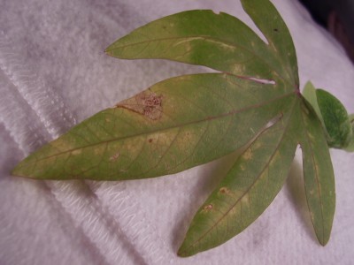 P2010021.JPG