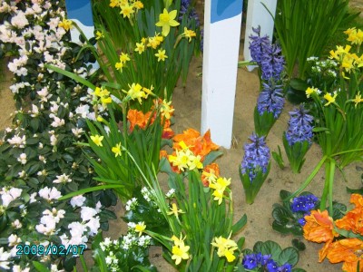 PICT0481.JPG