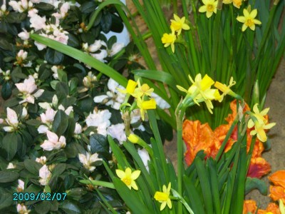 PICT0480.JPG
