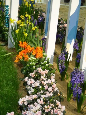 PICT0478.JPG