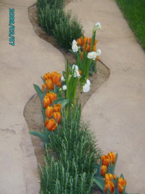 PICT0475.JPG