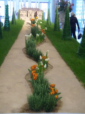 PICT0474.JPG