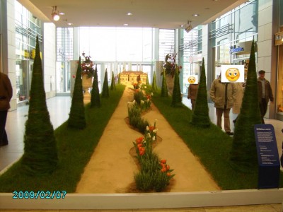 PICT0473 1.JPG