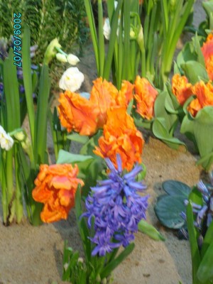 PICT0472.JPG
