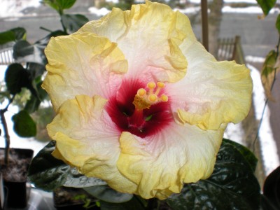 DSCN0143.JPG