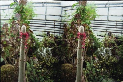 test003_4.jpg
