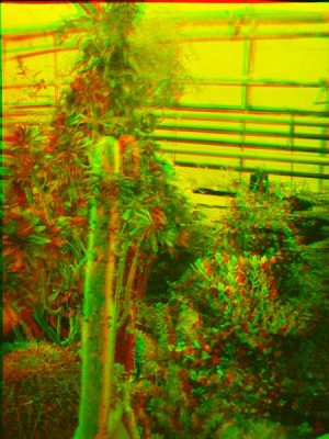 test003_12.jpg