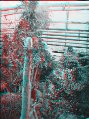 test003_13.jpg
