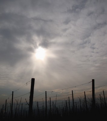 4.2.09 am burgholzturm.jpg