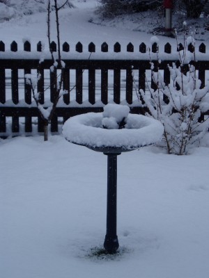 Frühling1.JPG