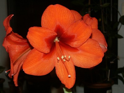 PICT0011.JPG