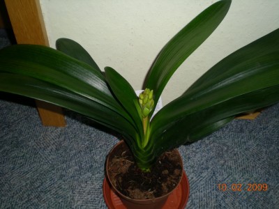 DSCN27190001.JPG