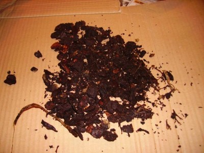 PICT1046.JPG