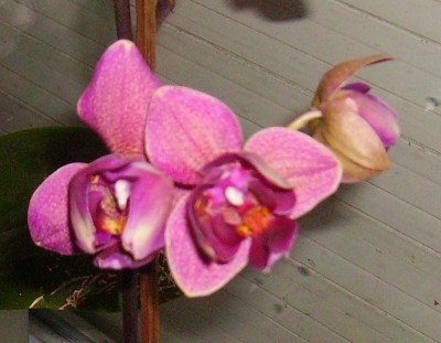 PICT1053.JPG