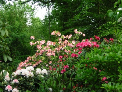 DSCN2567.JPG