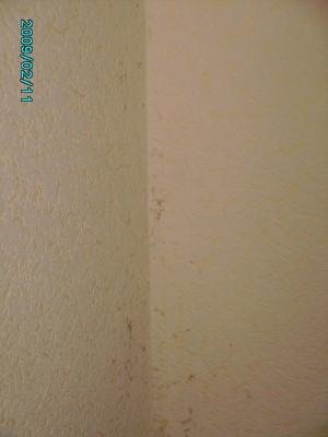 PICT0502.JPG