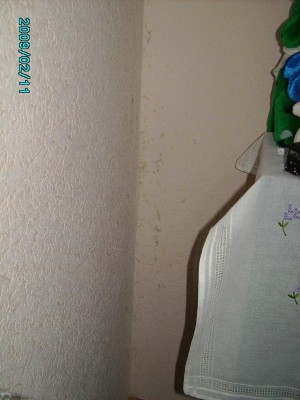 PICT0500.JPG