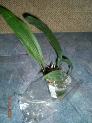 DSCN27280001.JPG