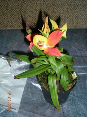 DSCN27260001.JPG