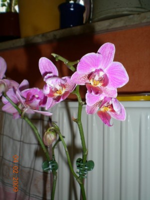 DSCN26940001.JPG