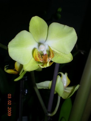 DSCN26760001.JPG