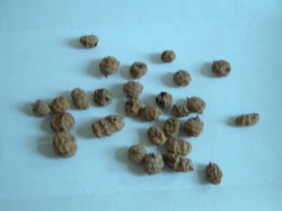 DSCN3317.JPG