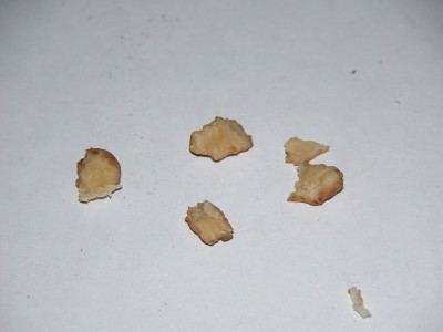 DSCN3319.JPG