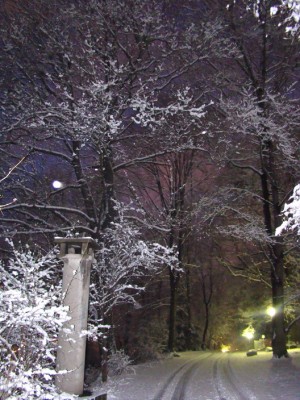 12.02.2009 arbeitsplatz mal ganz romantisch.jpg