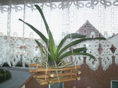 Foto332.jpg