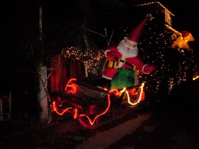 Tannenbaum 027.JPG